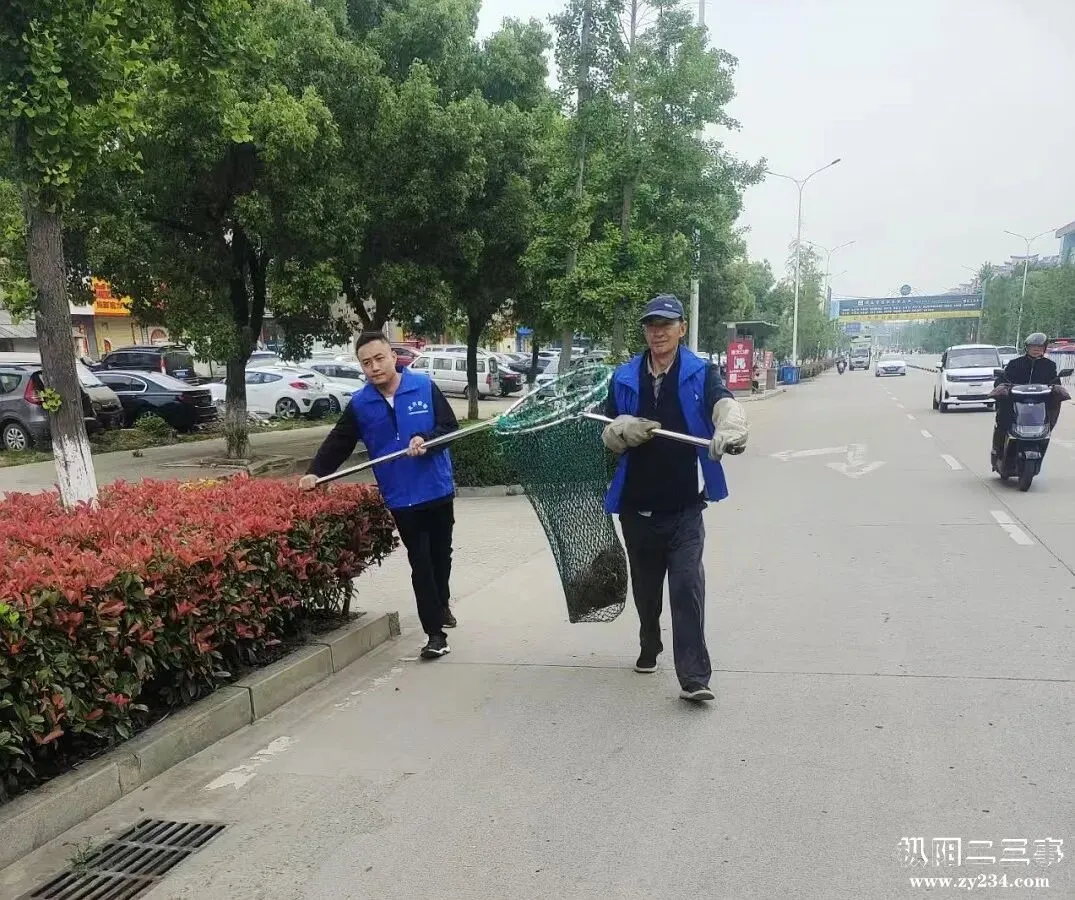 枞阳加大流浪犬只捕捉力度,全力护航高、中考!-第4张图片-四季读书网