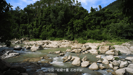 @应届中考、高考生 四会奇石河景区免票入园!-第34张图片-四季读书网