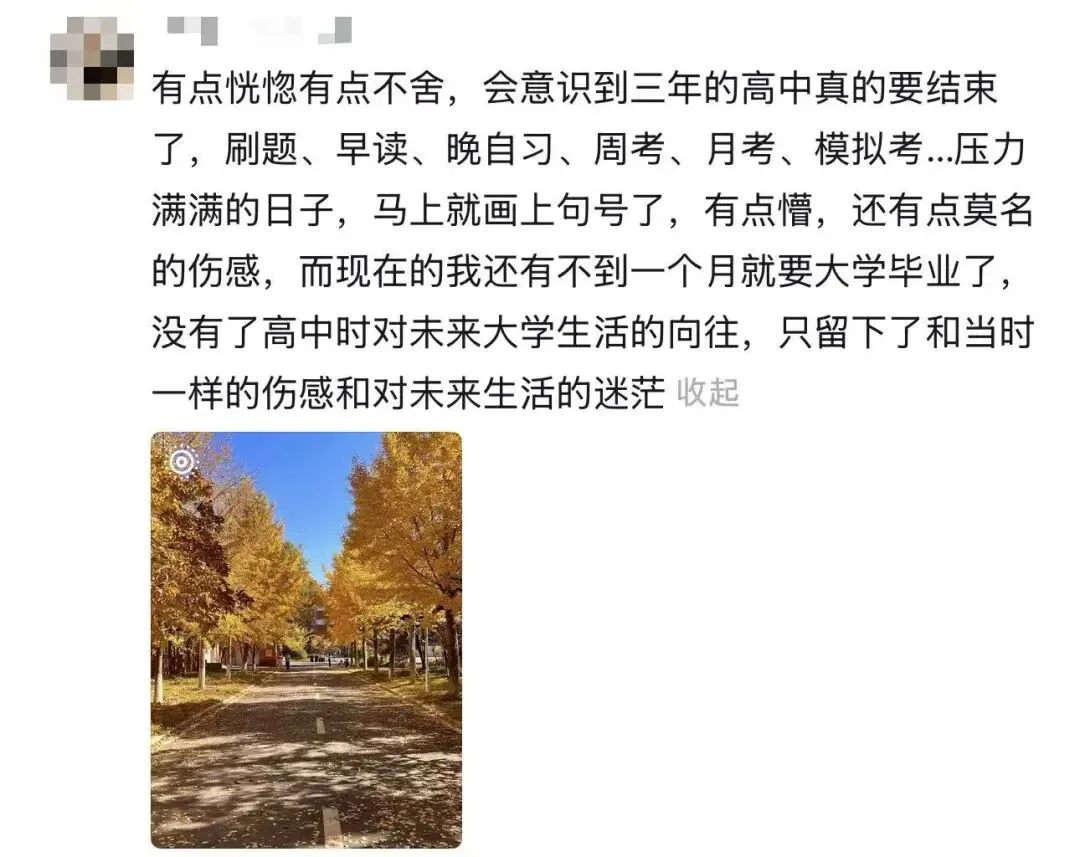 只要你曾在那张试卷上倾注过所有的赤诚,这篇关于学业的“长文”就已经是满分!-第28张图片-四季读书网