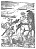 2026年中考《道德与法治》终极押题猜想(安徽)-第17张图片-四季读书网