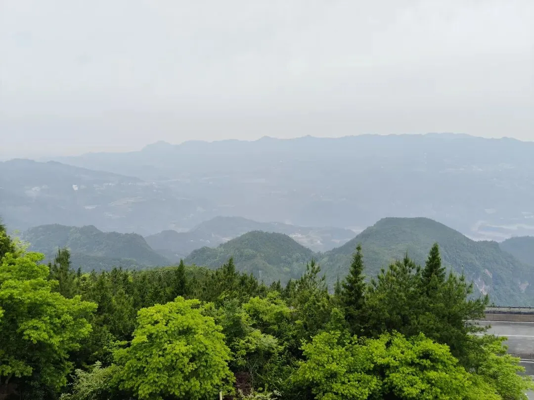 四十八年前,一个农村青年的中考之路(下)-第7张图片-四季读书网