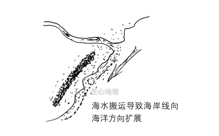 打卡真题 | 贝壳的形成和位置变化(003)-第9张图片-四季读书网