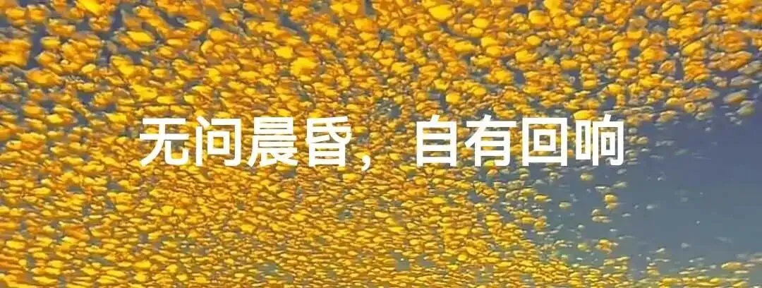 初中英语单词:名词+前缀,又变出一个名词-第2张图片-四季读书网
