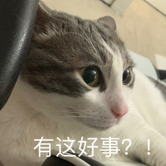 给孩子买“真题包过”,结果包过的只有智商税-第2张图片-四季读书网