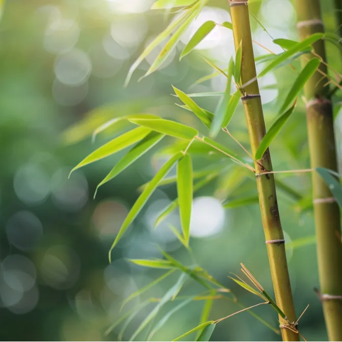 申论稳上分!四大核心技巧 + 真题思路,直接套用-第7张图片-四季读书网