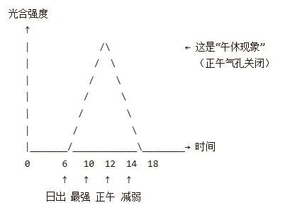 盐城中考生物 本土特色模拟微卷-第2张图片-四季读书网
