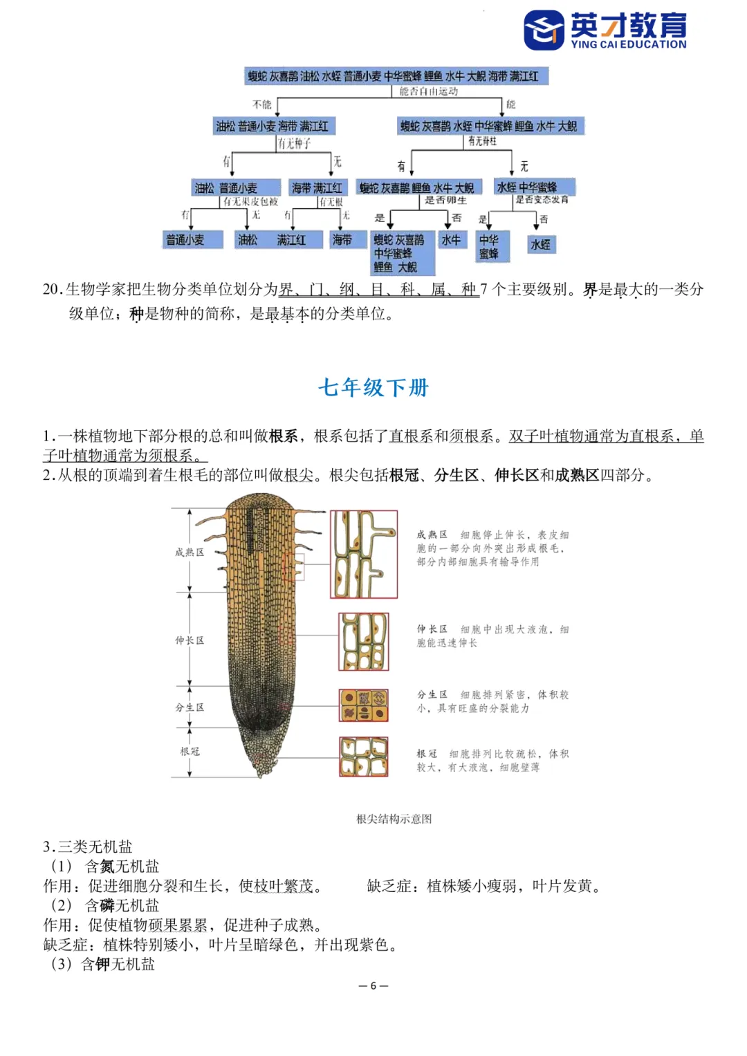中考生物重点知识汇总-第11张图片-四季读书网