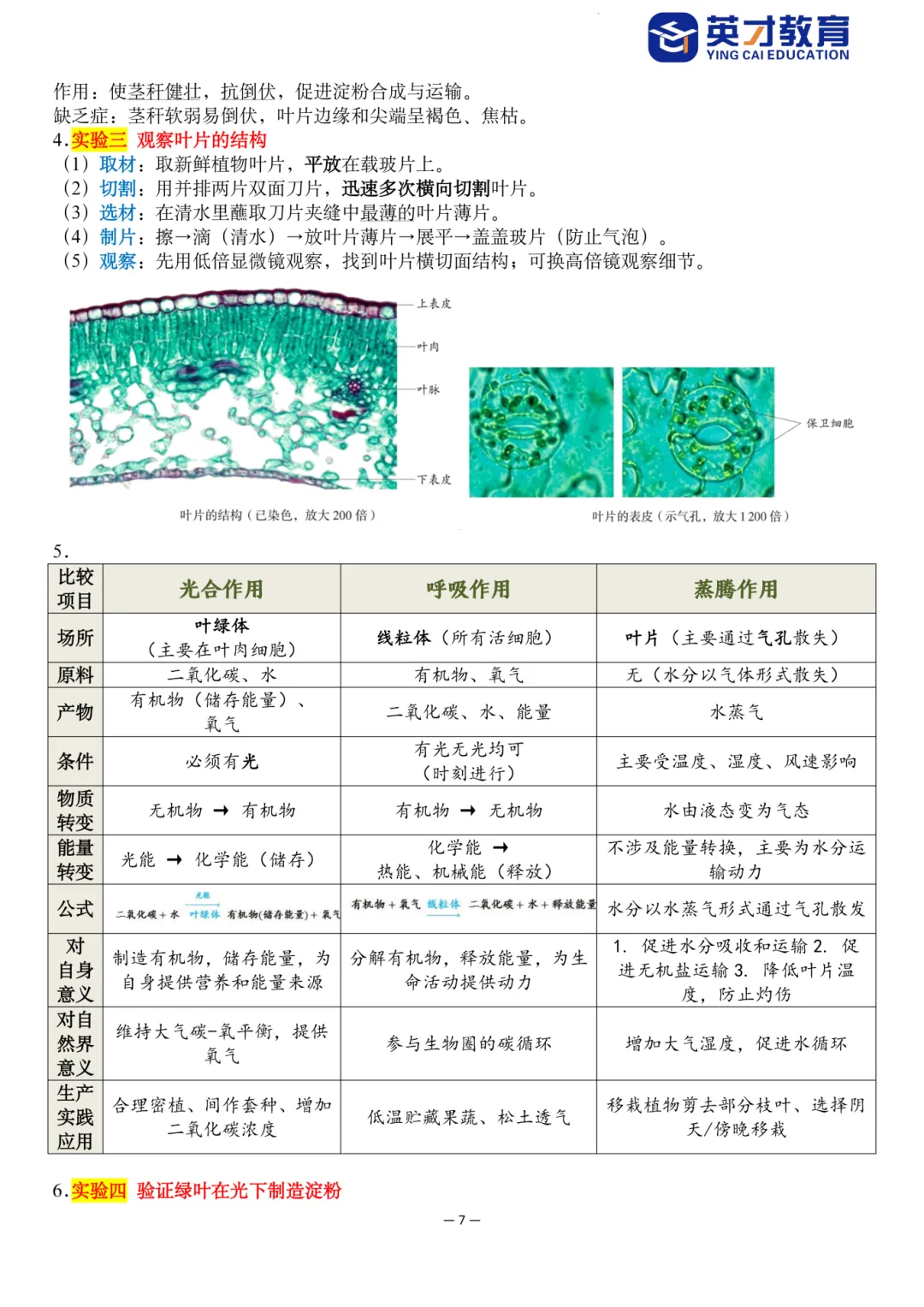 中考生物重点知识汇总-第12张图片-四季读书网