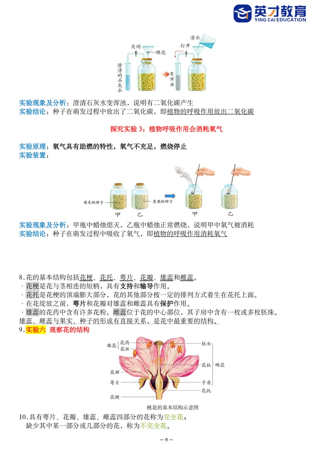 中考生物重点知识汇总-第14张图片-四季读书网