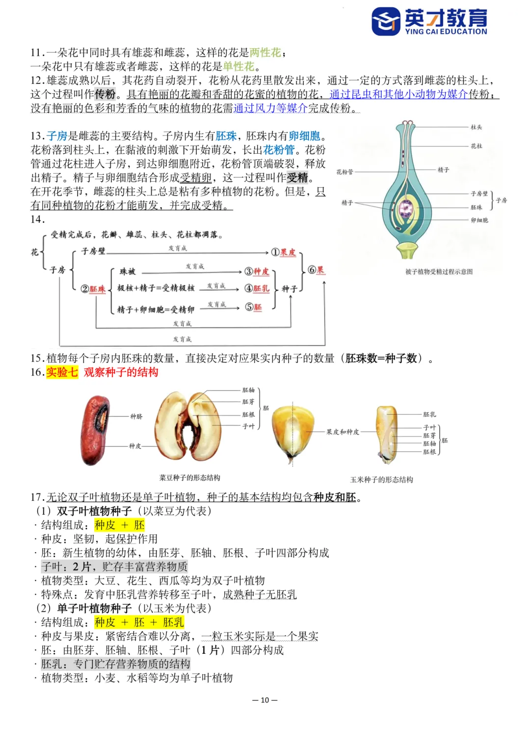 中考生物重点知识汇总-第15张图片-四季读书网