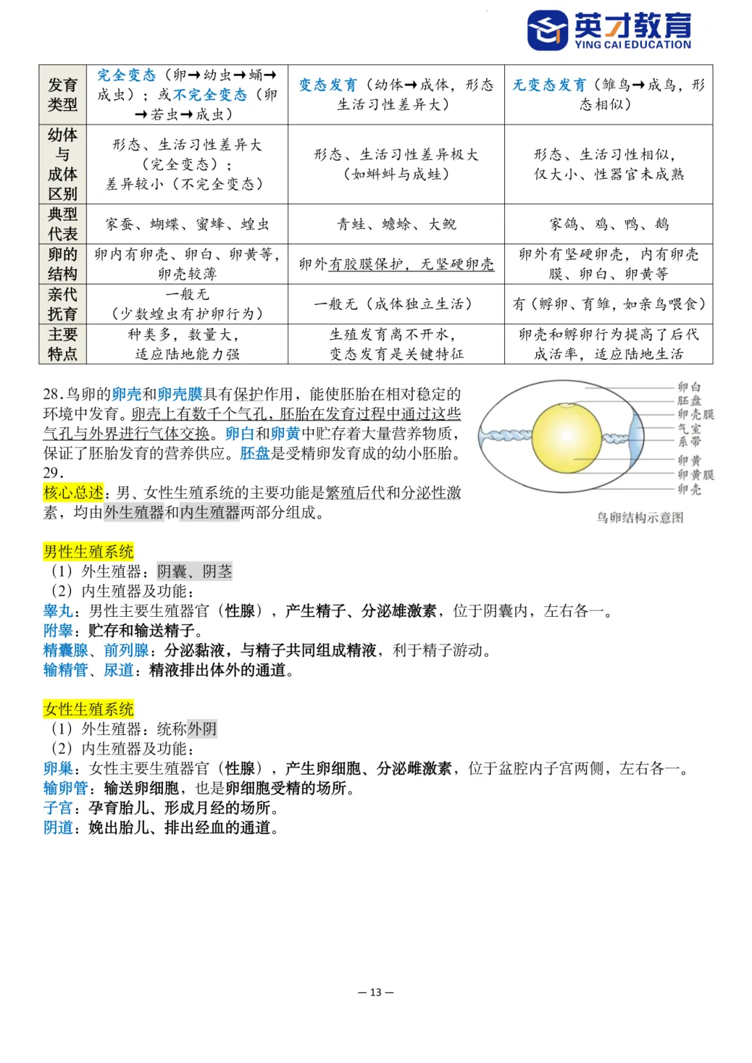 中考生物重点知识汇总-第18张图片-四季读书网