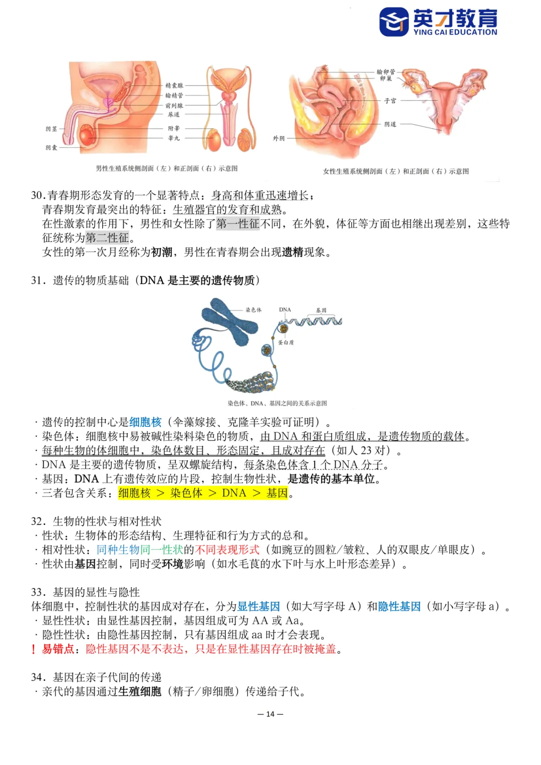 中考生物重点知识汇总-第19张图片-四季读书网