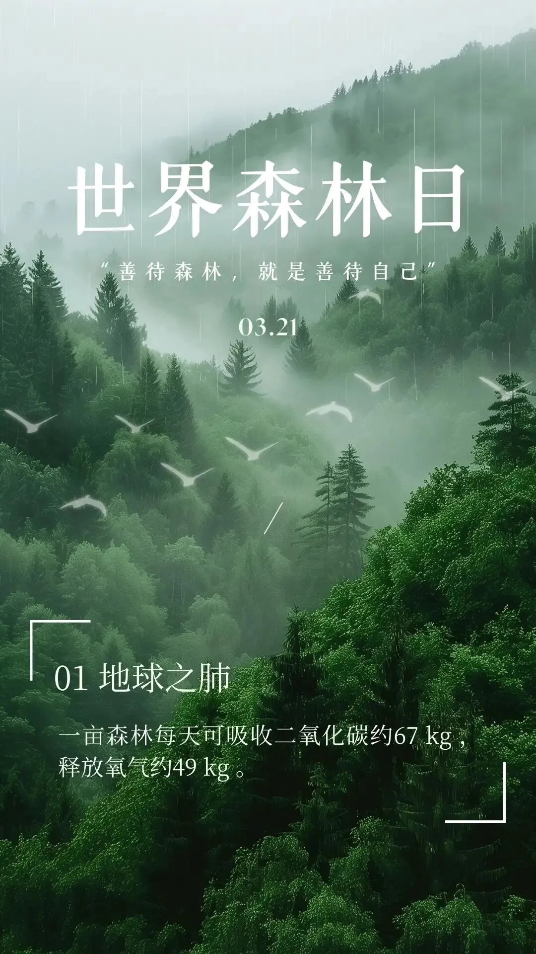中考三大气体中的“大哥” |二氧化碳-第6张图片-四季读书网