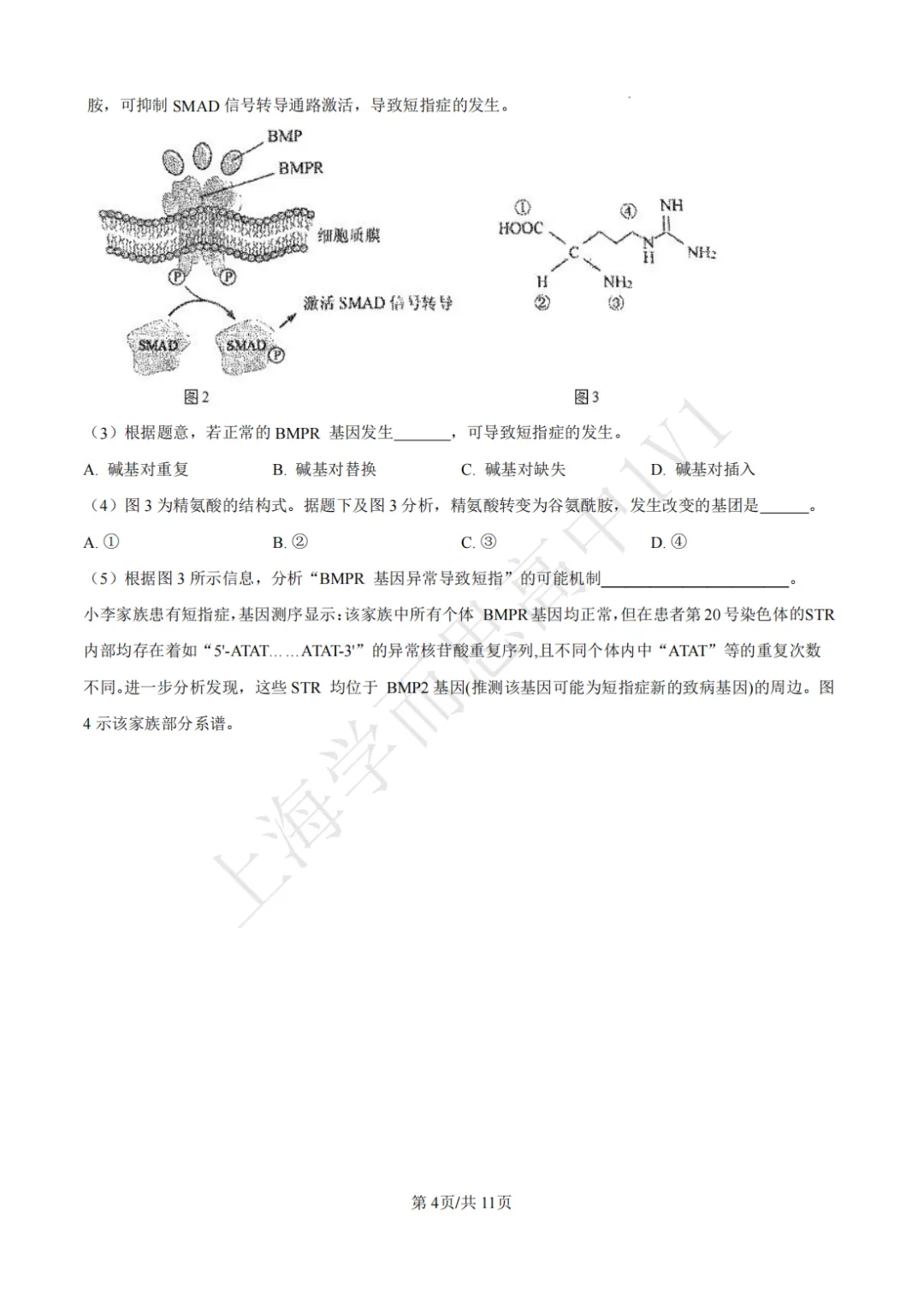 高二期末 |【生物】建平中学高二期末真题试卷(含详解)—四校八大系列-第5张图片-四季读书网