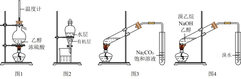 高二下期末-化学-有机实验分析真题汇编试卷考答案解析考点题型-第44张图片-四季读书网