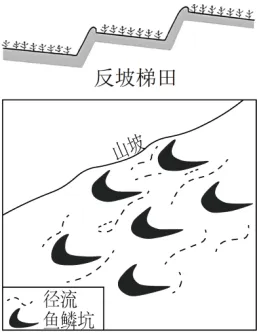 高二下期末-地理-区域及区域发展真题汇编试卷考答案解析考点题型-第17张图片-四季读书网