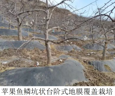 高二下期末-地理-区域及区域发展真题汇编试卷考答案解析考点题型-第18张图片-四季读书网