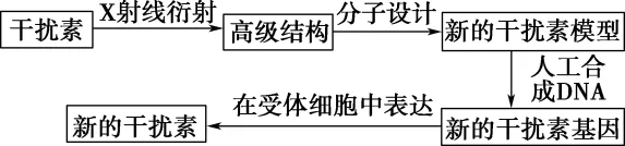 高二下期末-生物-基因工程的综合应用真题汇编试卷考答案解析考点题型-第5张图片-四季读书网
