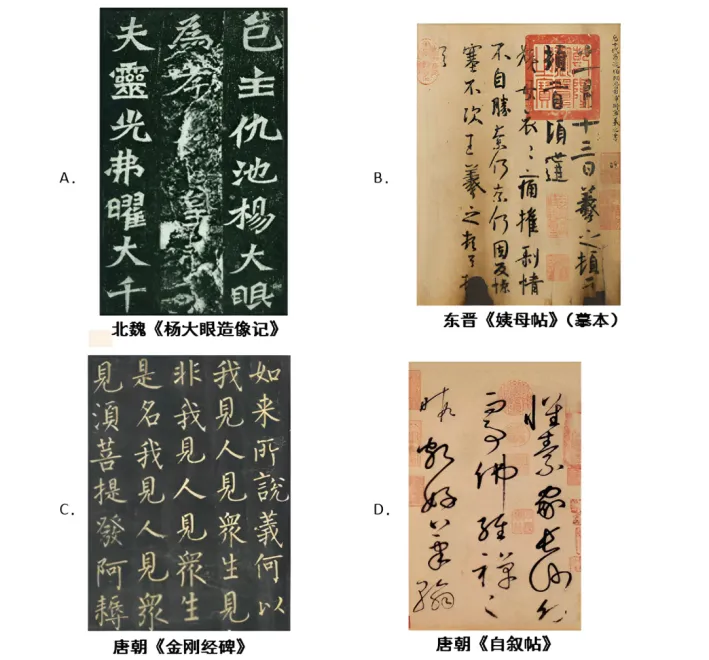 高二下期末-历史-中外历史纲要上选择题真题汇编试卷考答案解析考点题型-第3张图片-四季读书网