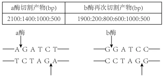 高二下期末-生物-基因工程的综合应用真题汇编试卷考答案解析考点题型-第13张图片-四季读书网