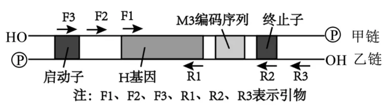 高二下期末-生物-基因工程的综合应用真题汇编试卷考答案解析考点题型-第19张图片-四季读书网