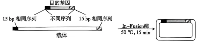 高二下期末-生物-基因工程的综合应用真题汇编试卷考答案解析考点题型-第21张图片-四季读书网