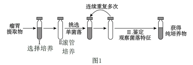 高二下期末-生物-基因工程的综合应用真题汇编试卷考答案解析考点题型-第24张图片-四季读书网