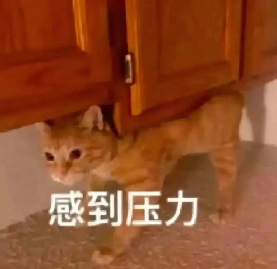 中考最后三周慌怎么办?这颗定心丸请收好-第2张图片-四季读书网 中考最后三周慌怎么办?这颗定心丸请收好-第2张图片-四季读书网