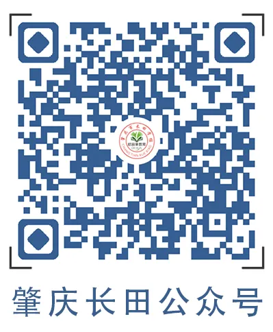 轻装上阵,笑迎中考——肇庆市长田学校九年级中考减压活动-第56张图片-四季读书网