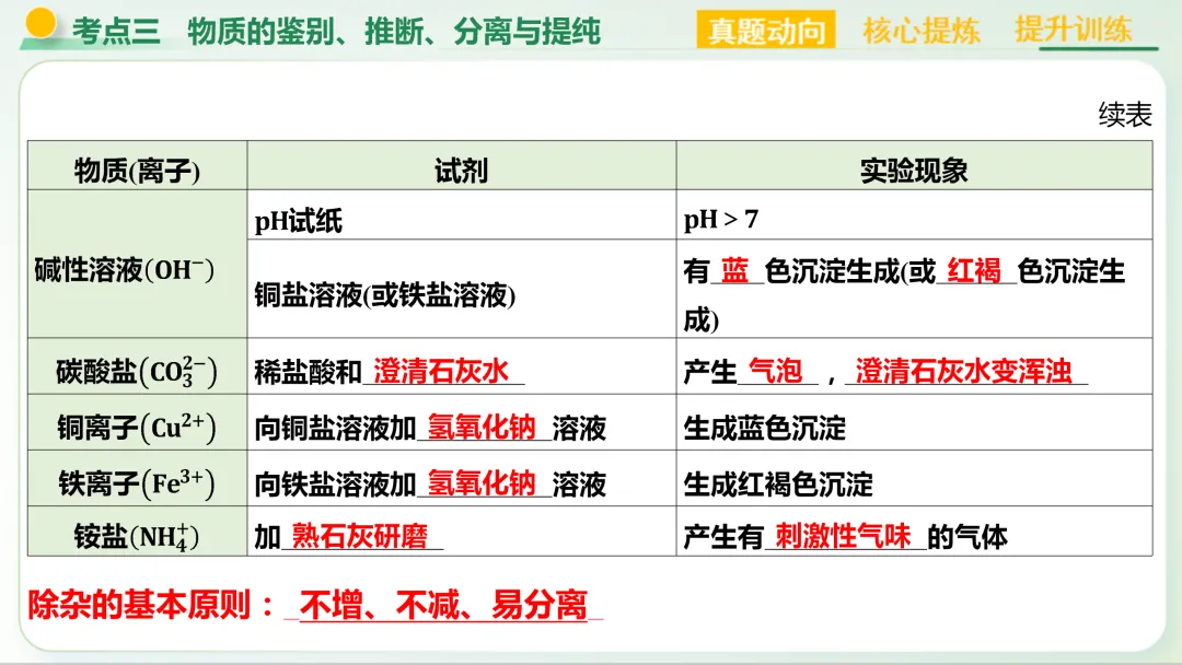 【中考总复习主题五——科学探究与化学实验】-第18张图片-四季读书网