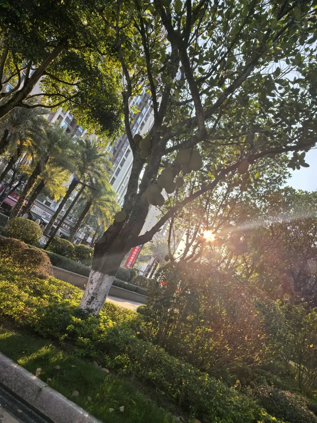 中考三模倒计时两天,致正在咬牙坚持的你-第1张图片-四季读书网 中考三模倒计时两天,致正在咬牙坚持的你-第1张图片-四季读书网