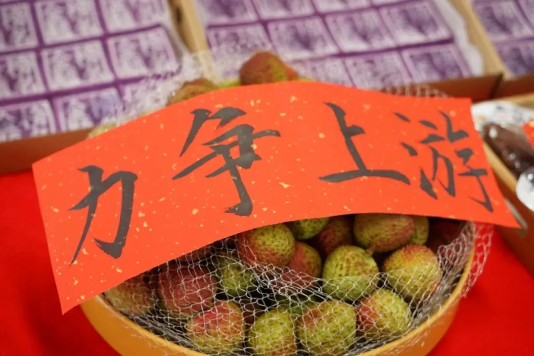 “芒”有所获,“种”有所得,中考加油-第5张图片-四季读书网