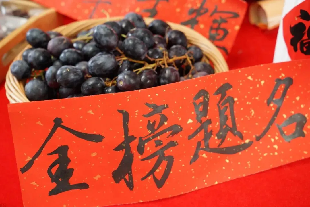 “芒”有所获,“种”有所得,中考加油-第6张图片-四季读书网