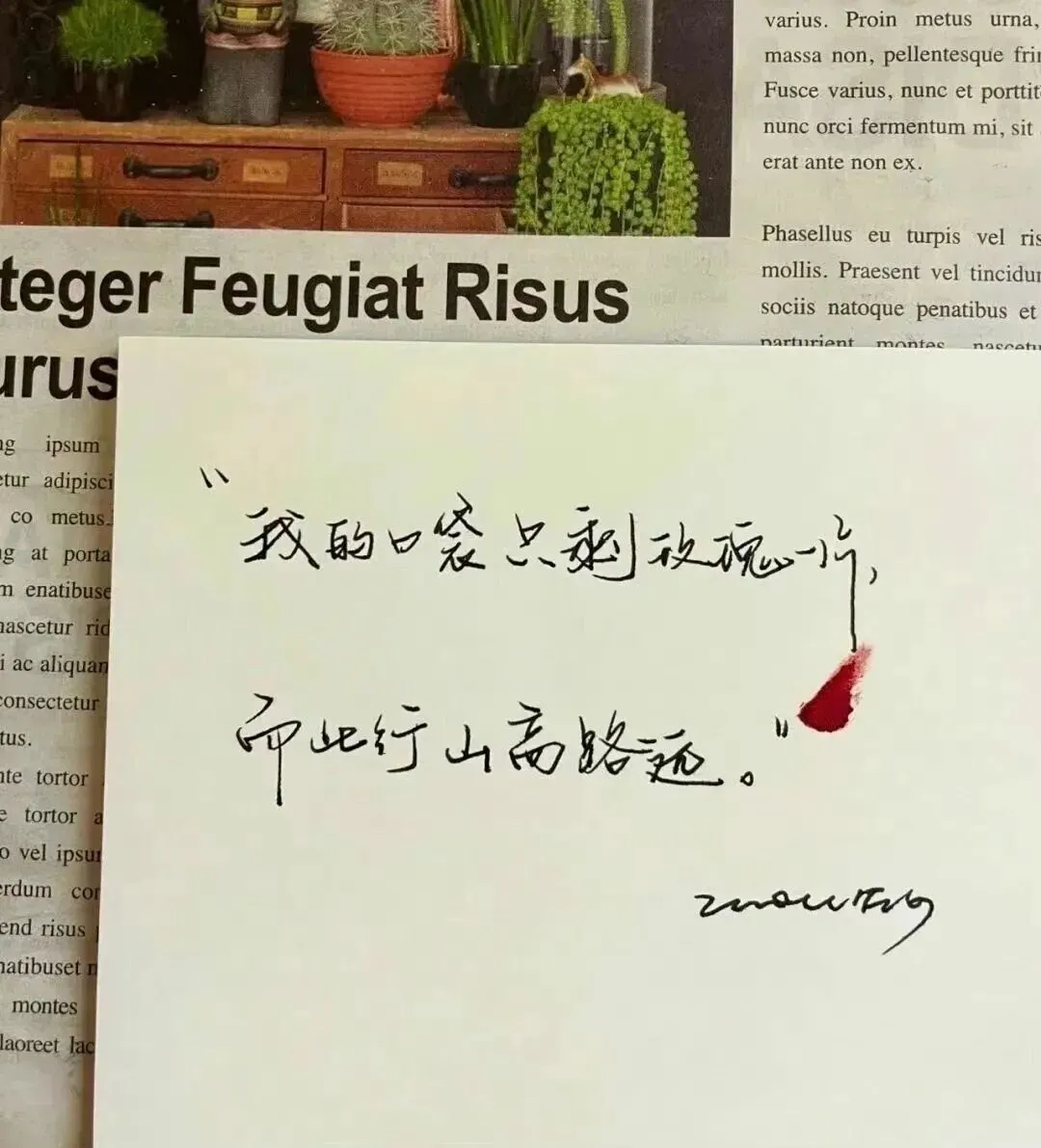 "那年夏天,风很大,试卷很难"-第4张图片-四季读书网 "那年夏天,风很大,试卷很难"-第4张图片-四季读书网