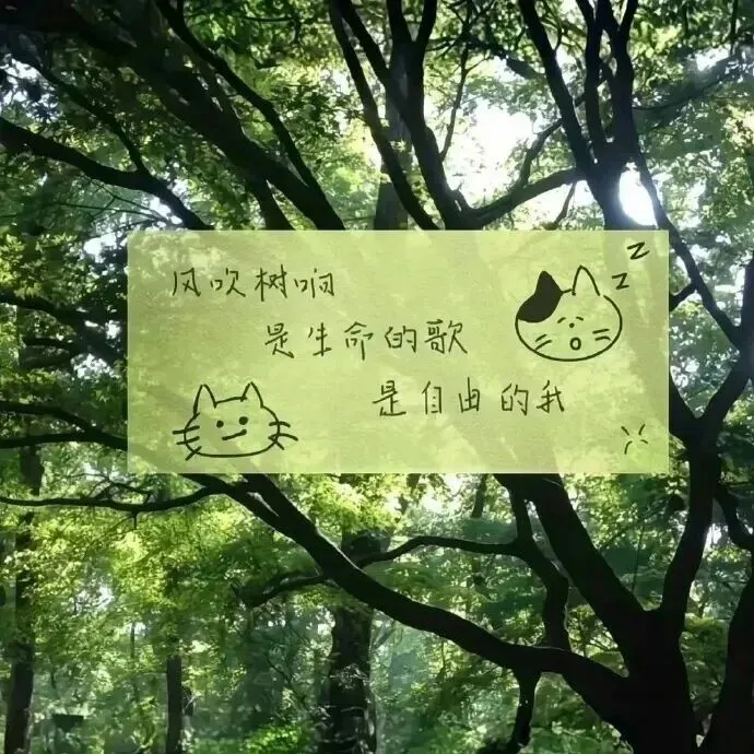 "那年夏天,风很大,试卷很难"-第5张图片-四季读书网 "那年夏天,风很大,试卷很难"-第5张图片-四季读书网