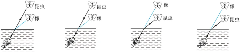 中考物理复习基础特训每日打卡跟踪(三)6月3日-第7张图片-四季读书网