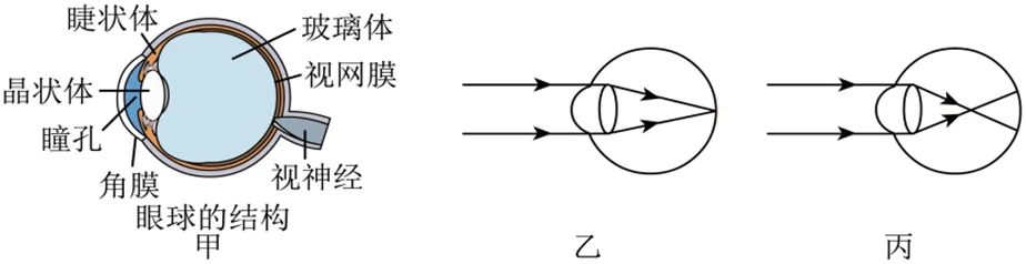 中考物理复习基础特训每日打卡跟踪(三)6月3日-第22张图片-四季读书网