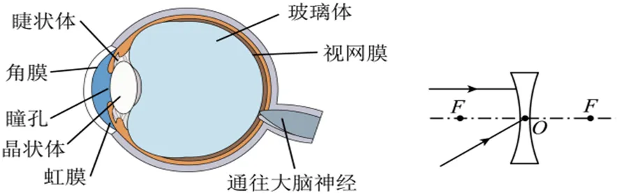 中考物理复习基础特训每日打卡跟踪(三)6月3日-第23张图片-四季读书网