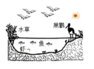 2026年生物中考真题演练6:(2025年山西)-第2张图片-四季读书网 2026年生物中考真题演练6:(2025年山西)-第2张图片-四季读书网