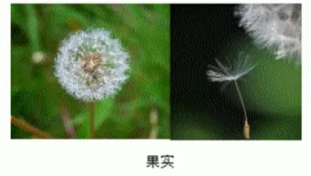2026年生物中考真题演练6:(2025年山西)-第3张图片-四季读书网 2026年生物中考真题演练6:(2025年山西)-第3张图片-四季读书网