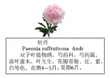 2026年生物中考真题演练6:(2025年山西)-第5张图片-四季读书网 2026年生物中考真题演练6:(2025年山西)-第5张图片-四季读书网