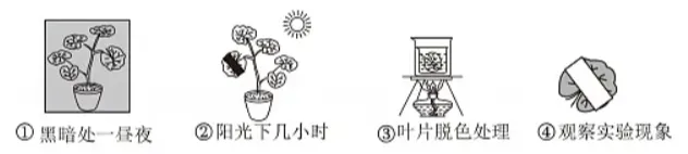 2026年生物中考真题演练6:(2025年山西)-第8张图片-四季读书网 2026年生物中考真题演练6:(2025年山西)-第8张图片-四季读书网