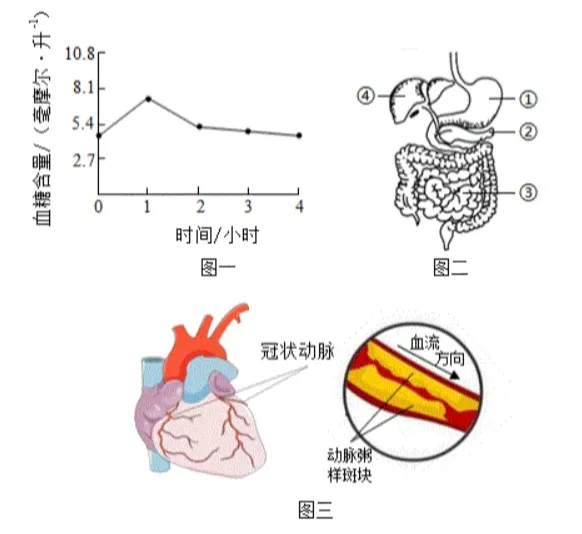 2026年生物中考真题演练6:(2025年山西)-第12张图片-四季读书网 2026年生物中考真题演练6:(2025年山西)-第12张图片-四季读书网