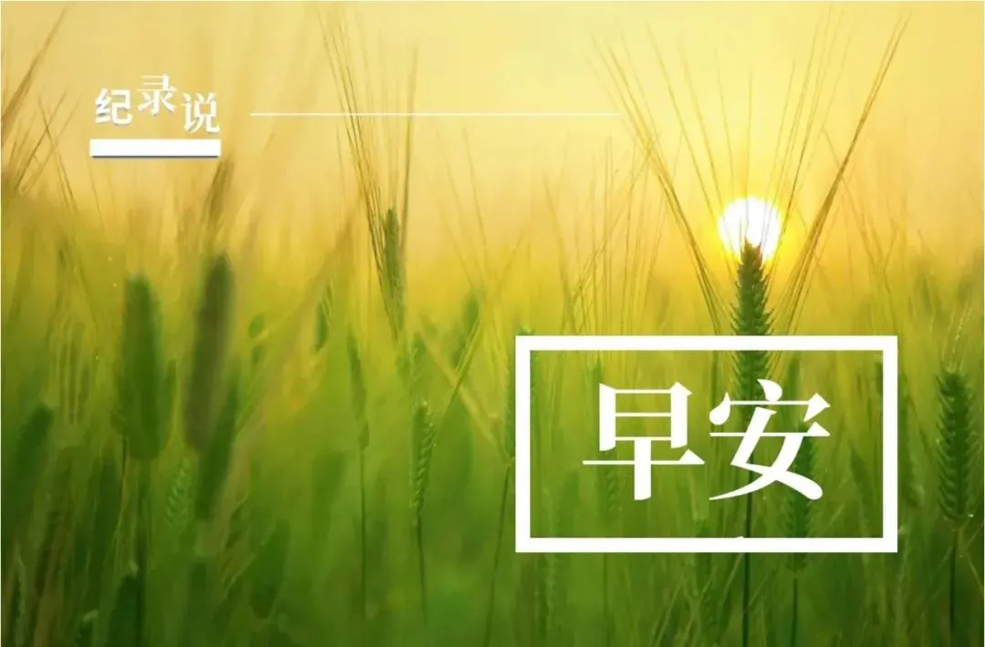 接好运!400年前的状元试卷,2460字无一涂改-第2张图片-四季读书网 接好运!400年前的状元试卷,2460字无一涂改-第2张图片-四季读书网