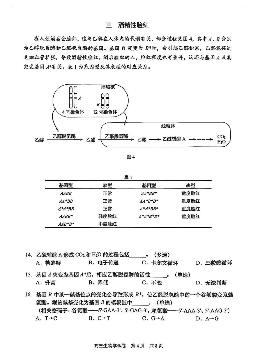 2026届静安区高三二模生物试卷-第4张图片-四季读书网