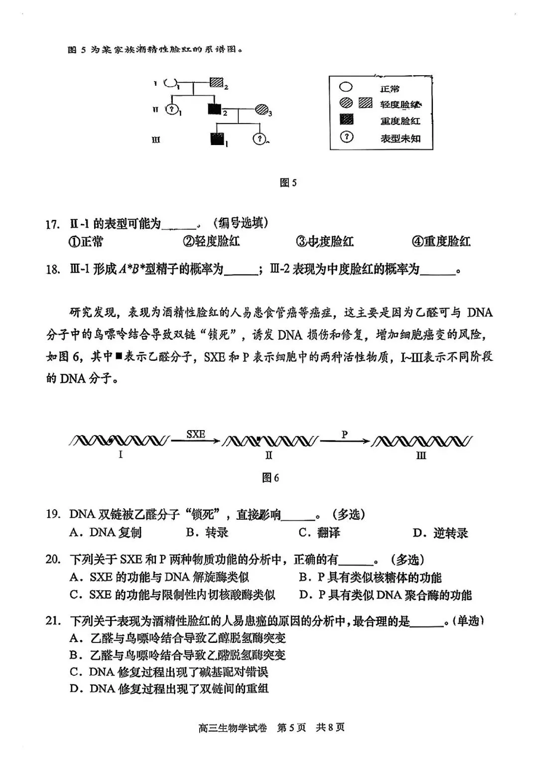 2026届静安区高三二模生物试卷-第5张图片-四季读书网