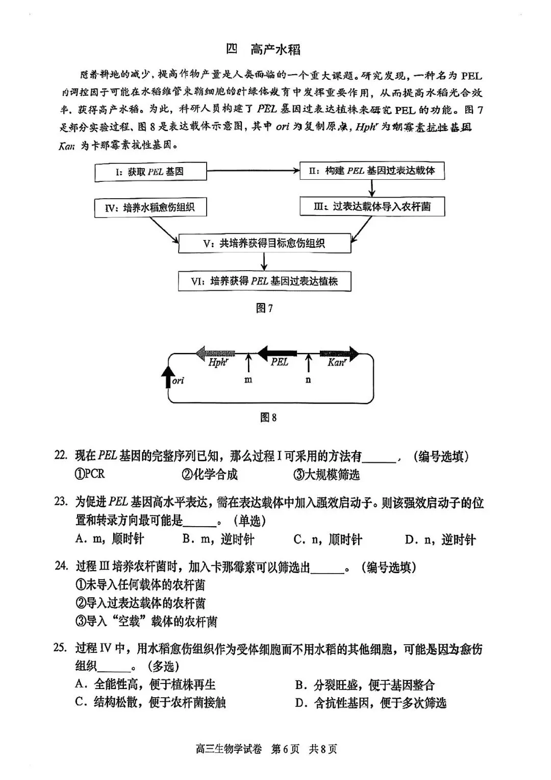 2026届静安区高三二模生物试卷-第6张图片-四季读书网