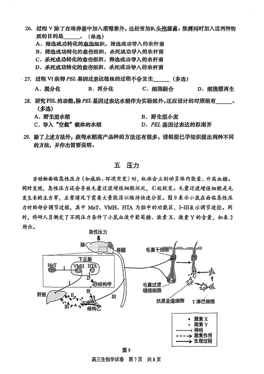 2026届静安区高三二模生物试卷-第7张图片-四季读书网