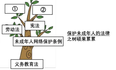 2024道德与法治中考真题单元汇编 八下第一单元 坚持宪法至上(学生版)-第12张图片-四季读书网 2024道德与法治中考真题单元汇编 八下第一单元 坚持宪法至上(学生版)-第12张图片-四季读书网