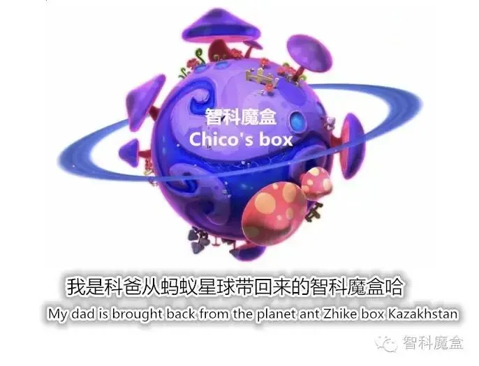 中考升学:校额到校-第18张图片-四季读书网